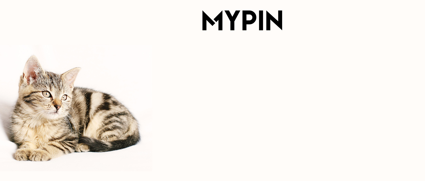 Il Migliore Distributore Automatico per Cani e Gatti: MYPIN 6L