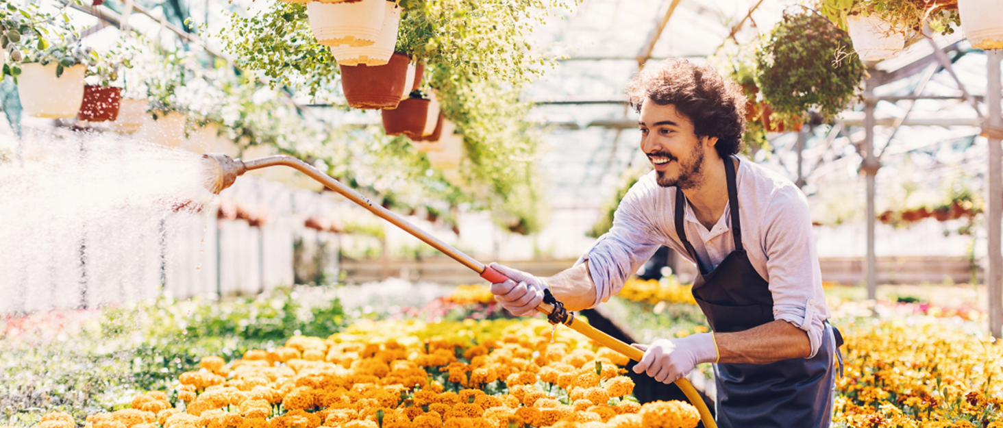 Il miglior timer elettronico per l’irrigazione del tuo giardino