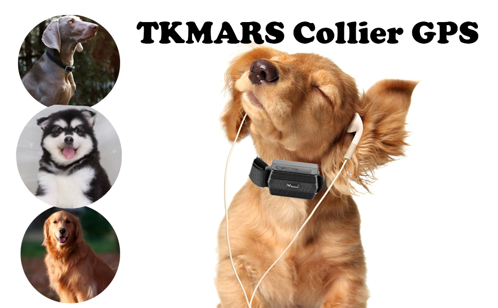 TK935: Il Collare GPS Impermeabile per Cani e Altri Animali