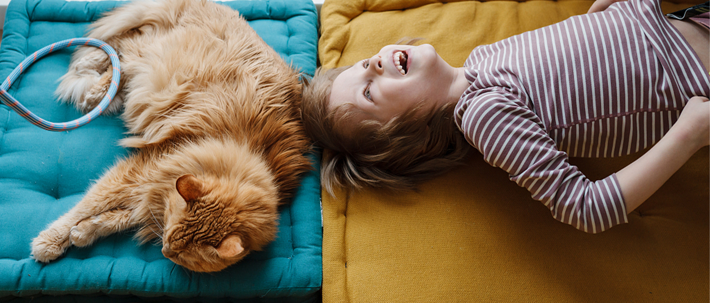 GIOTOHUN Dispenser Cibo Gatti: La soluzione ideale per il tuo gatto