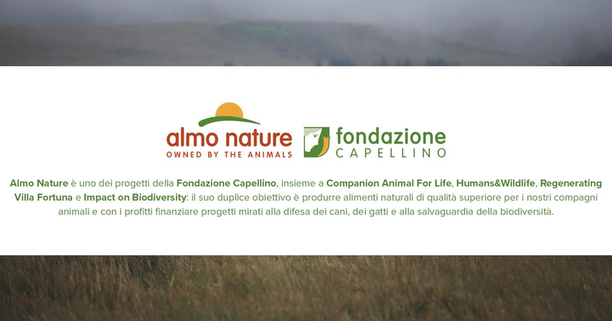 Almo Nature Cibo Umido per Gatto: Recensione Completa