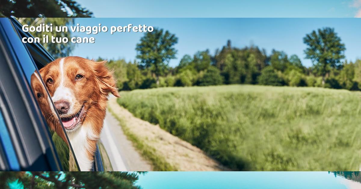 Proteggi il tuo bagagliaio con il Telo Auto per Cani KYG