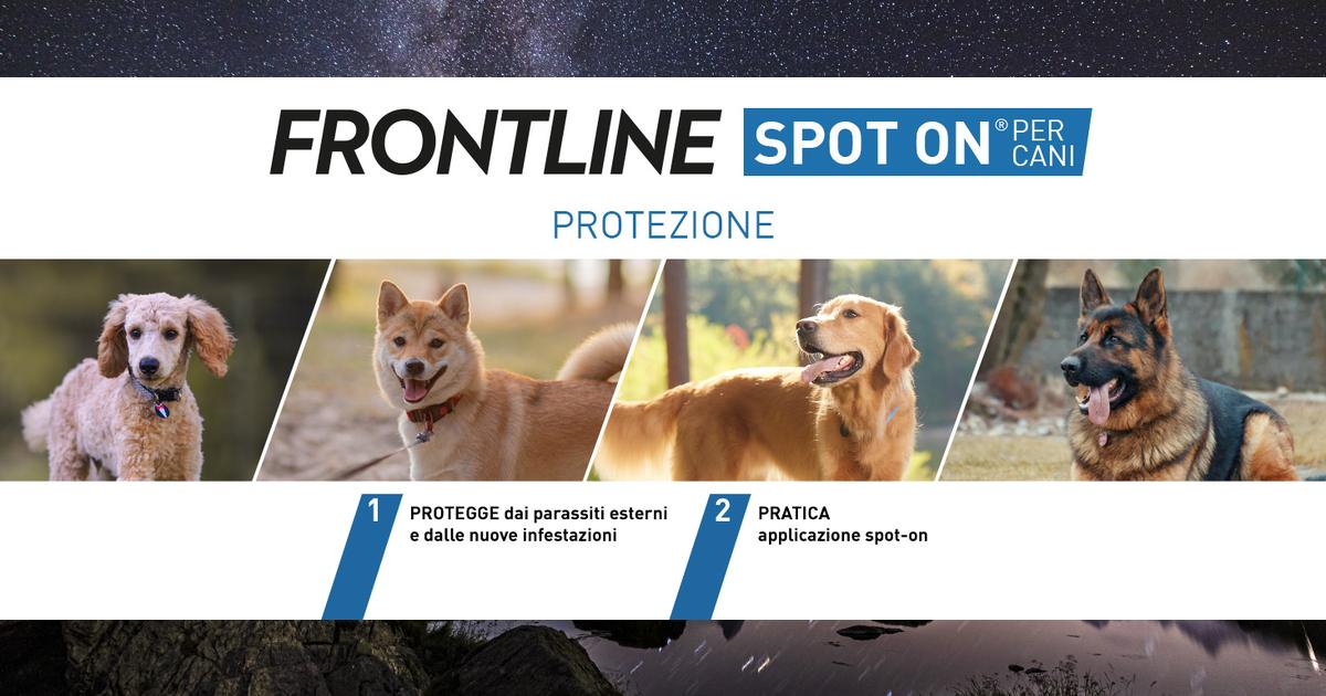 Recensione FRONTLINE Spot On per cani taglia S